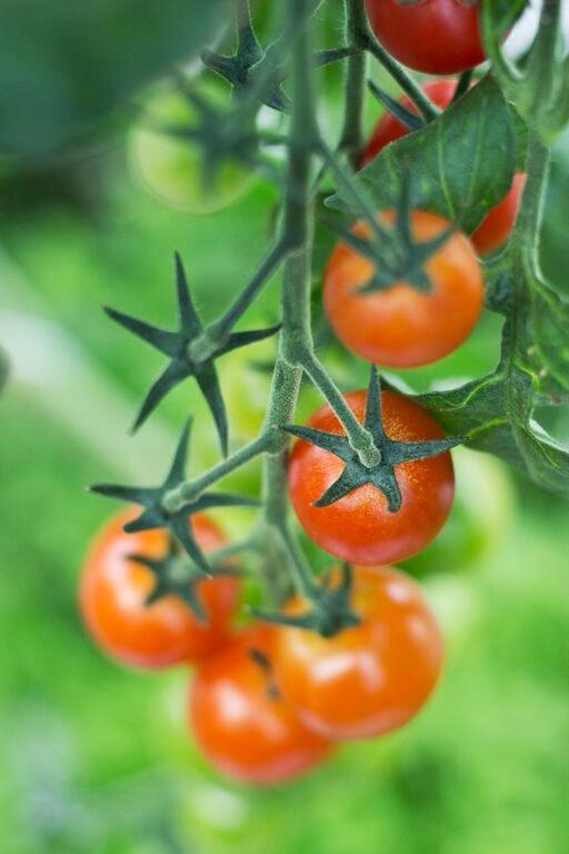 Hotel Red & Green Narpio Εξωτερικό φωτογραφία